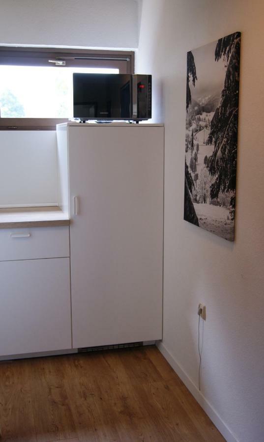 Ferienwohnung Schwarzwaldlust Шлухзее Экстерьер фото