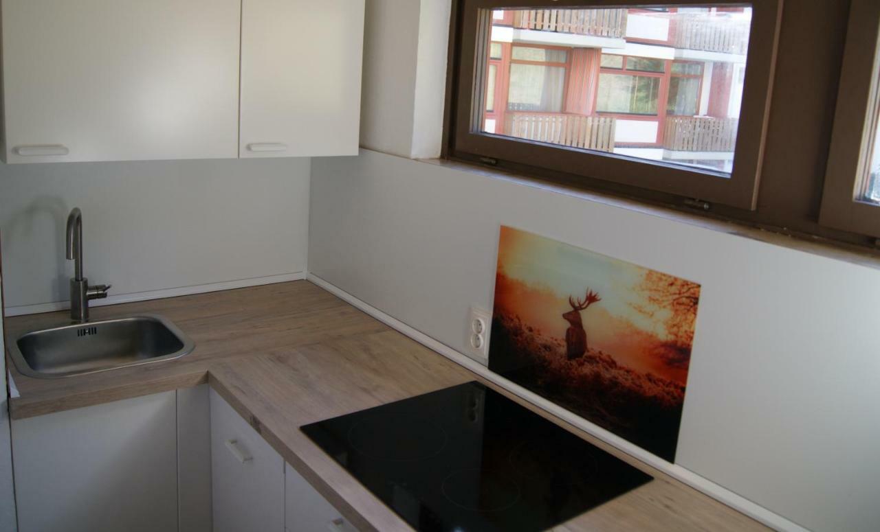 Ferienwohnung Schwarzwaldlust Шлухзее Экстерьер фото